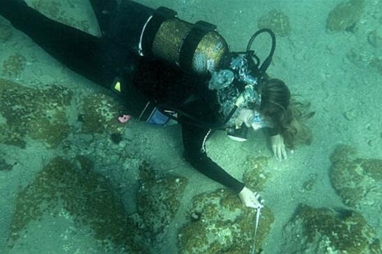 Massive Bronze-Age City Discovered Underwater in Greece