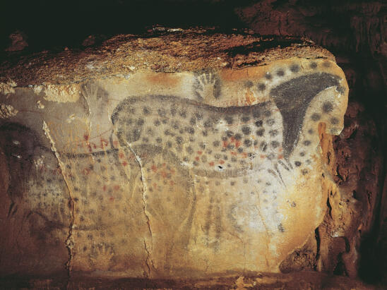 Cave Painters Didn’t Dream Up Spotted Horses, Study Shows