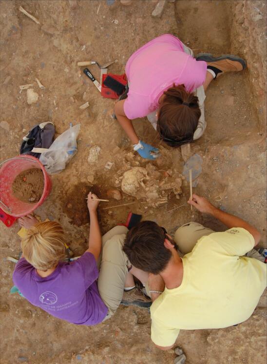 Scientists Seek Cholera DNA in Tuscan Cemetery