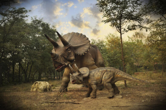 Cold-Blooded or Warm-Blooded? Dinosaurs May Have Been in Between