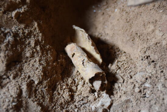 After 60 Years, Archaeologists Find New Dead Sea Scrolls Cave