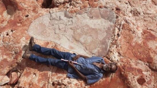 Australian “Jurassic Park” Home to World’s Largest Dinosaur Footprints