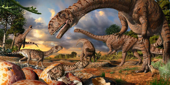 Oldest Known Dinosaur Nesting Site Was Also a Nursery