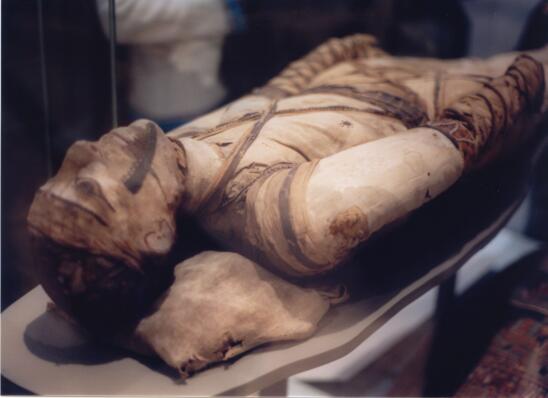 Ancient Egyptian Mummification Practices Revisited by New Study