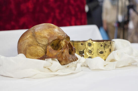 New Research Sheds Light On Swedish King’s Decapitation