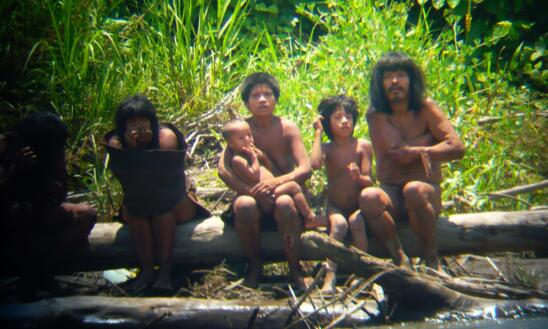 Peru Plans First Contact with Isolated Amazonian Tribe