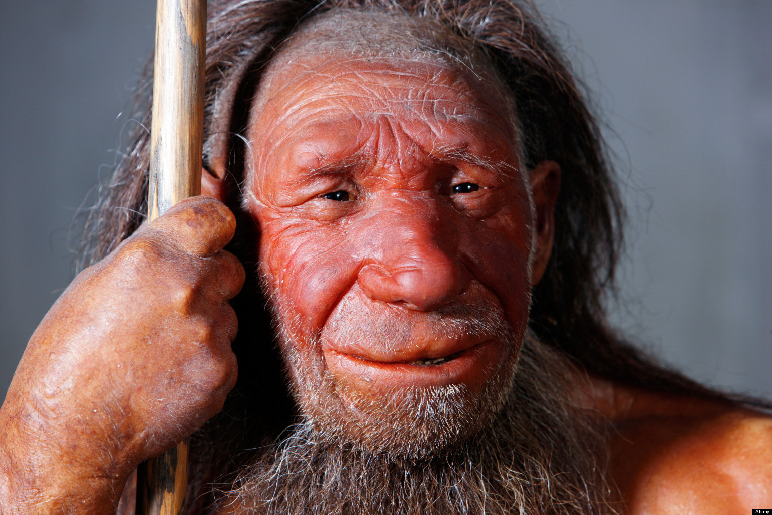 Evolution | HISTORY