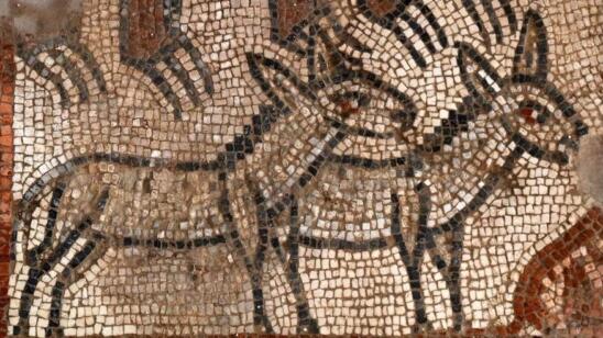 Rare Noah’s Ark Mosaic Discovered at Ancient Israeli Synagogue