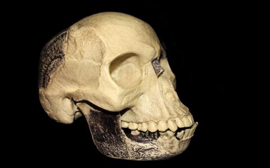 Piltdown Man Hoax, 100 Years Ago