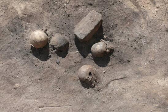 Ancient Plague Victims Found in Egypt