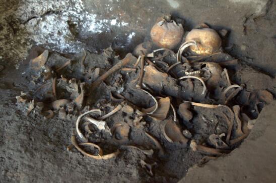 Skeletons Found in Ancient Shop Near Pompeii