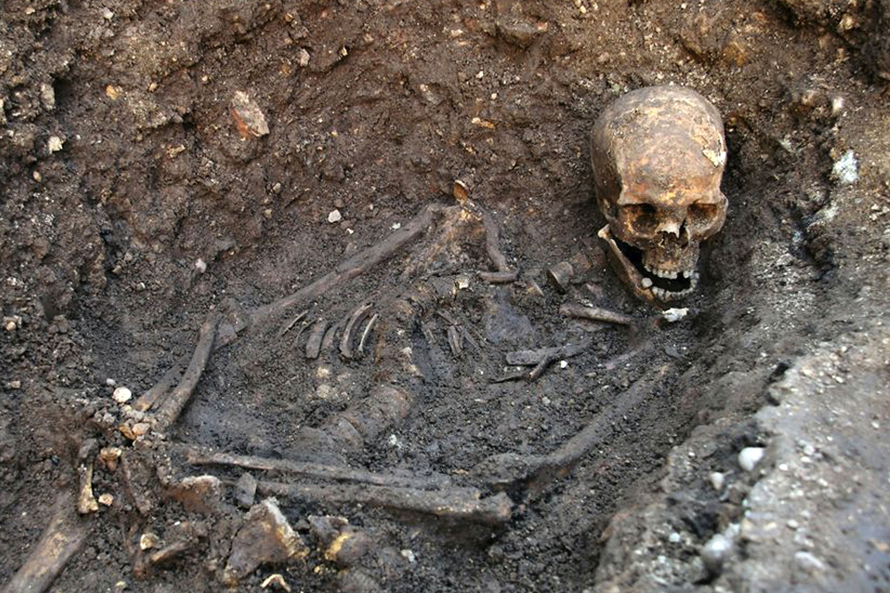 Parking Lot Remains Confirmed to Belong to Richard III - HISTORY