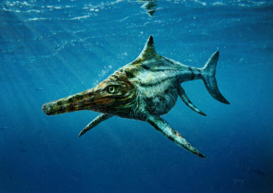 Scientists Identify Scottish Fossil as Jurassic-Age “Marine Lizard”