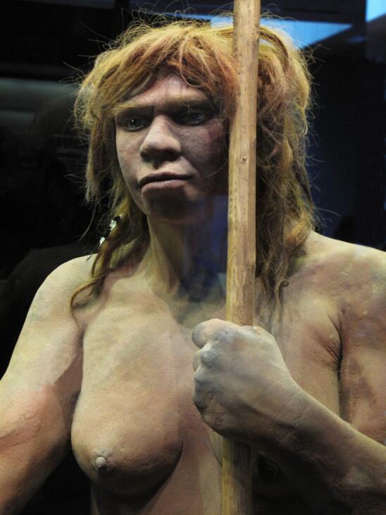 New Study Suggests Neanderthals and Humans Co-Existed for Millennia