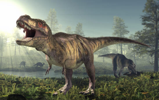 There Was a Dangerous Purpose Behind T. Rex’s Tiny Arms