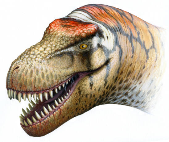 T. Rex’s Little Cousin: New Pygmy Tyrannosaur Discovered in Alaska