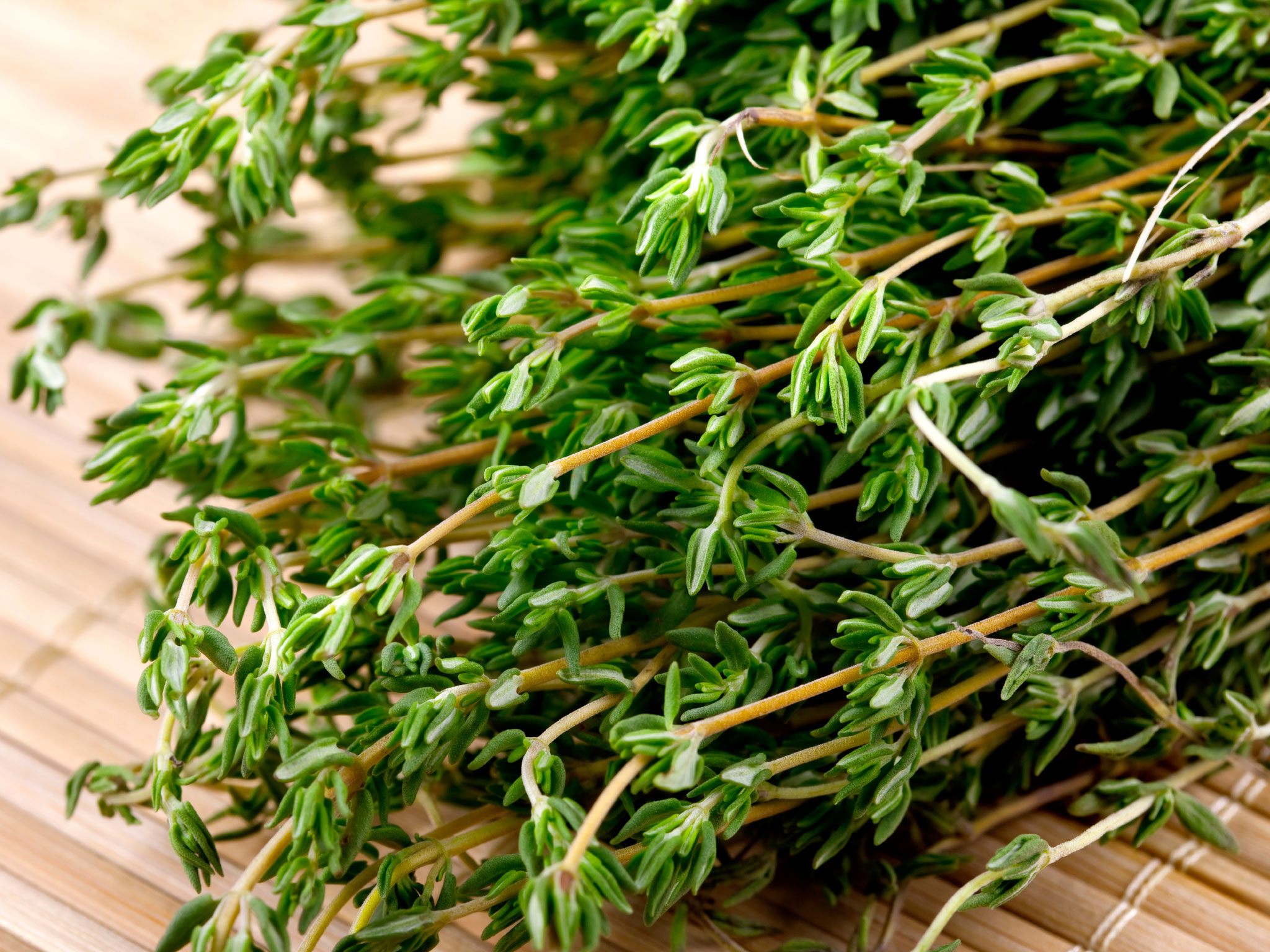 A Brief History of Thyme - HISTORY