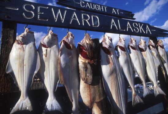 Celebrating Alaska’s Statehood With Food