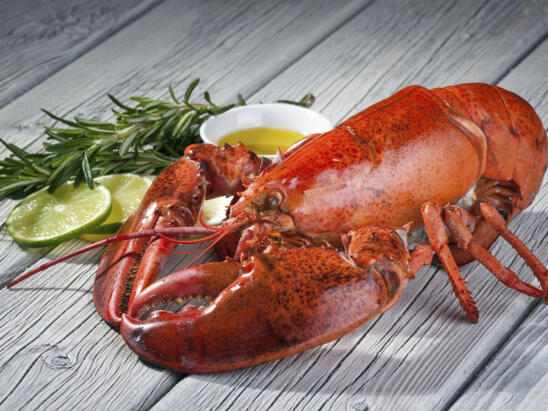 From Humble to Haute: Lobster’s Climb to the Top