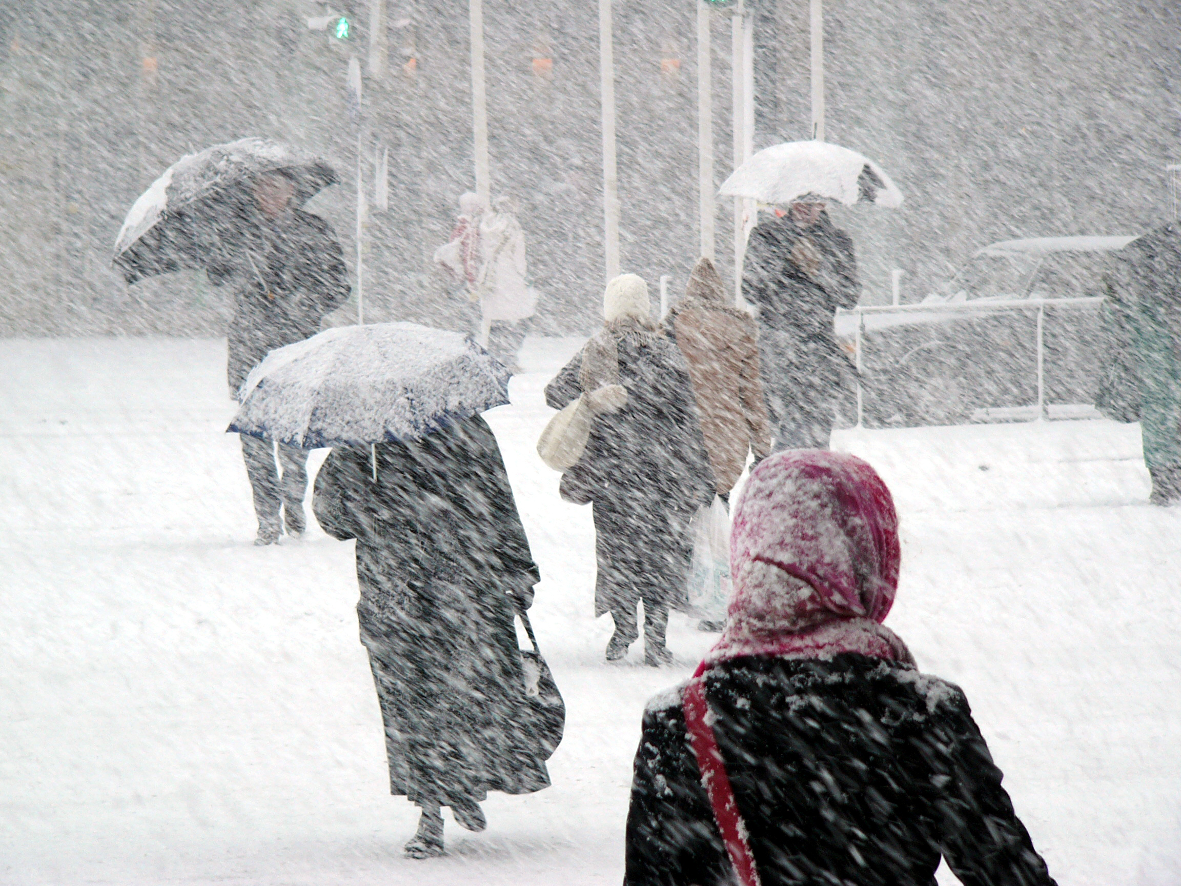 Weather Wise The 10 Best Cities For People Who Hate Snow And Cold - hv9w4d3