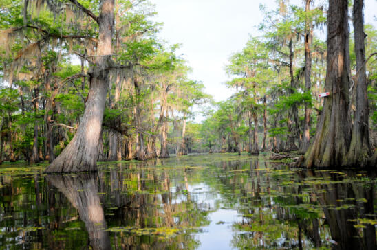 7 Lesser-Known Historic Sites in Louisiana