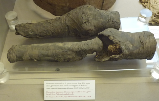 Archaeologists Identify Mummified Legs as Queen Nefertari’s