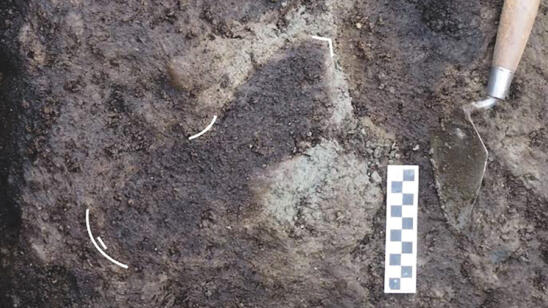 Oldest Human Footprints in North America Discovered