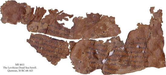 Secrets of New Dead Sea Scrolls Come to Light