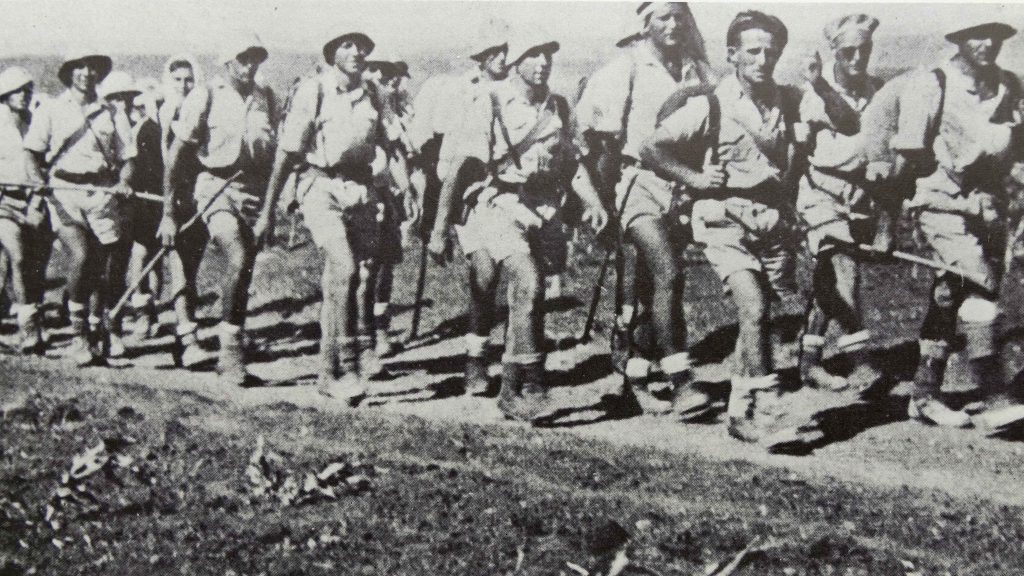 Palmach Haganah