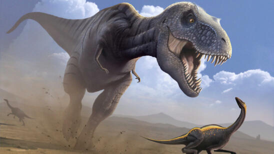Dinosaurs Thrived After a Mass Extinction Killed Off the Competition