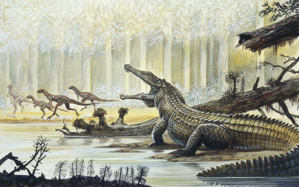 Triassic Dinosaurs