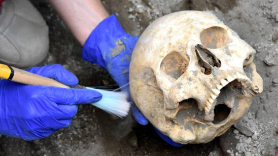Archaeologists Find Crushed Pompeii Man's Skull, and His Money Too