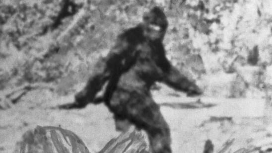 People Have Been Chasing Bigfoot for 60 Years—Here's How It Began