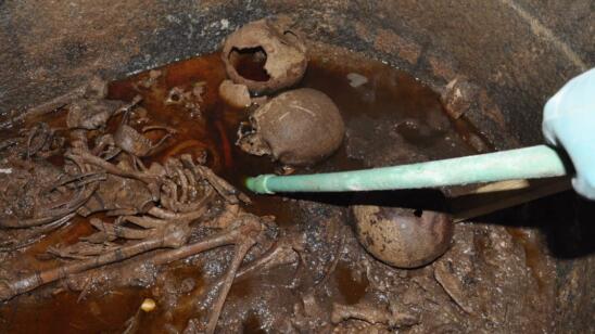 Mysterious Sarcophagus Reveals Three Mummies Stewing in Sewage