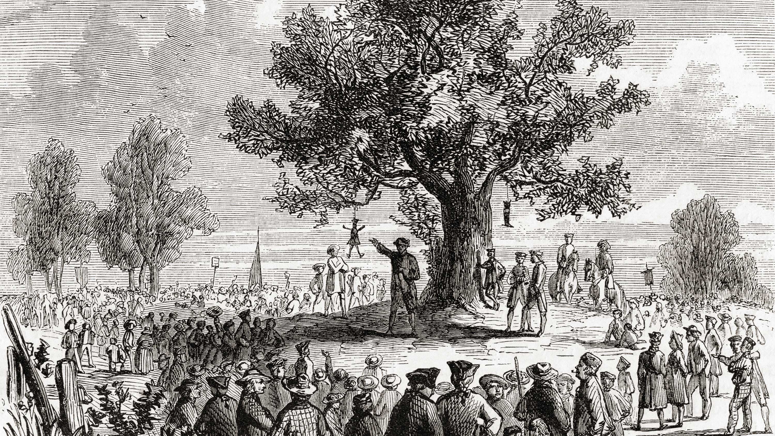 Why Liberty Trees Became An Obsession After The Revolutionary War History