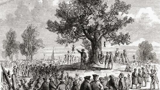 Why ‘Liberty Trees’ Became an Obsession After the Revolutionary War