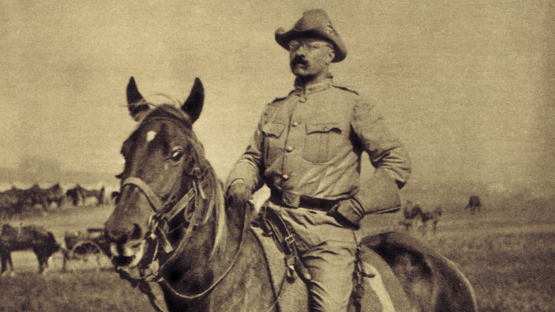 teddy roosevelt rough riders