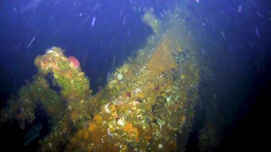 Hunk of World War II US Destroyer Discovered Off Alaskan Island