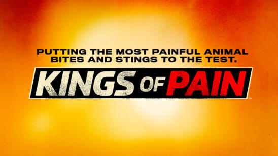 Kings of Pain