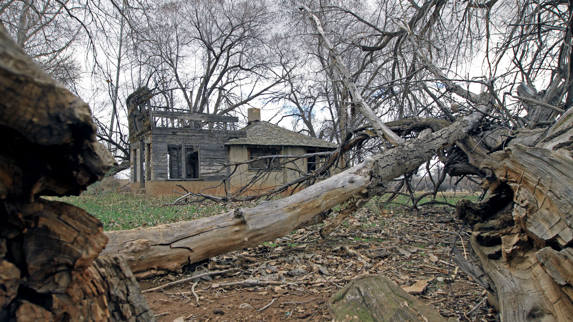 Read More: How Skinwalker Ranch Became a Hotbed of Paranormal Activity