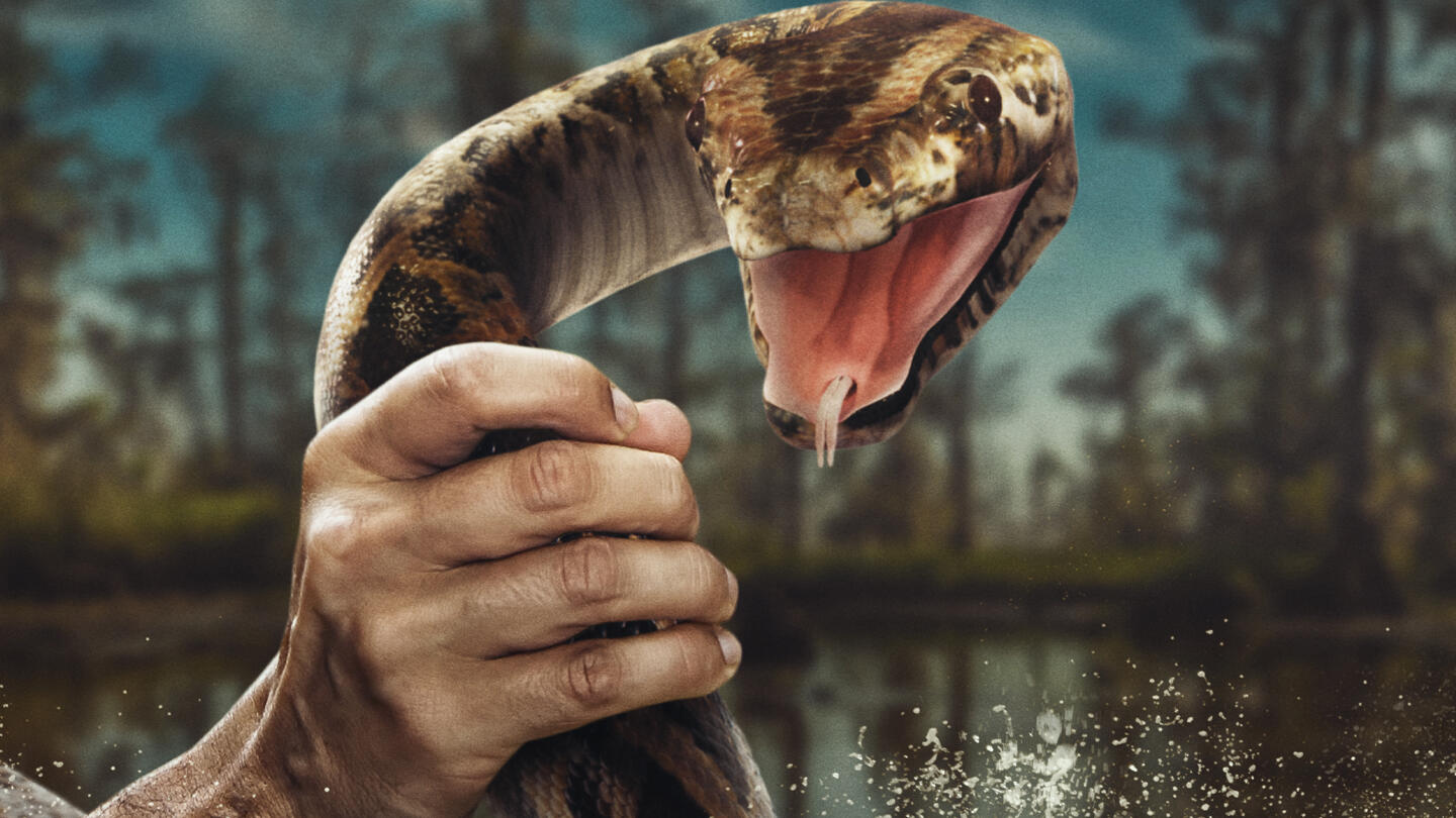 Watch Swamp People Serpent Invasion Full Episodes, Video & More