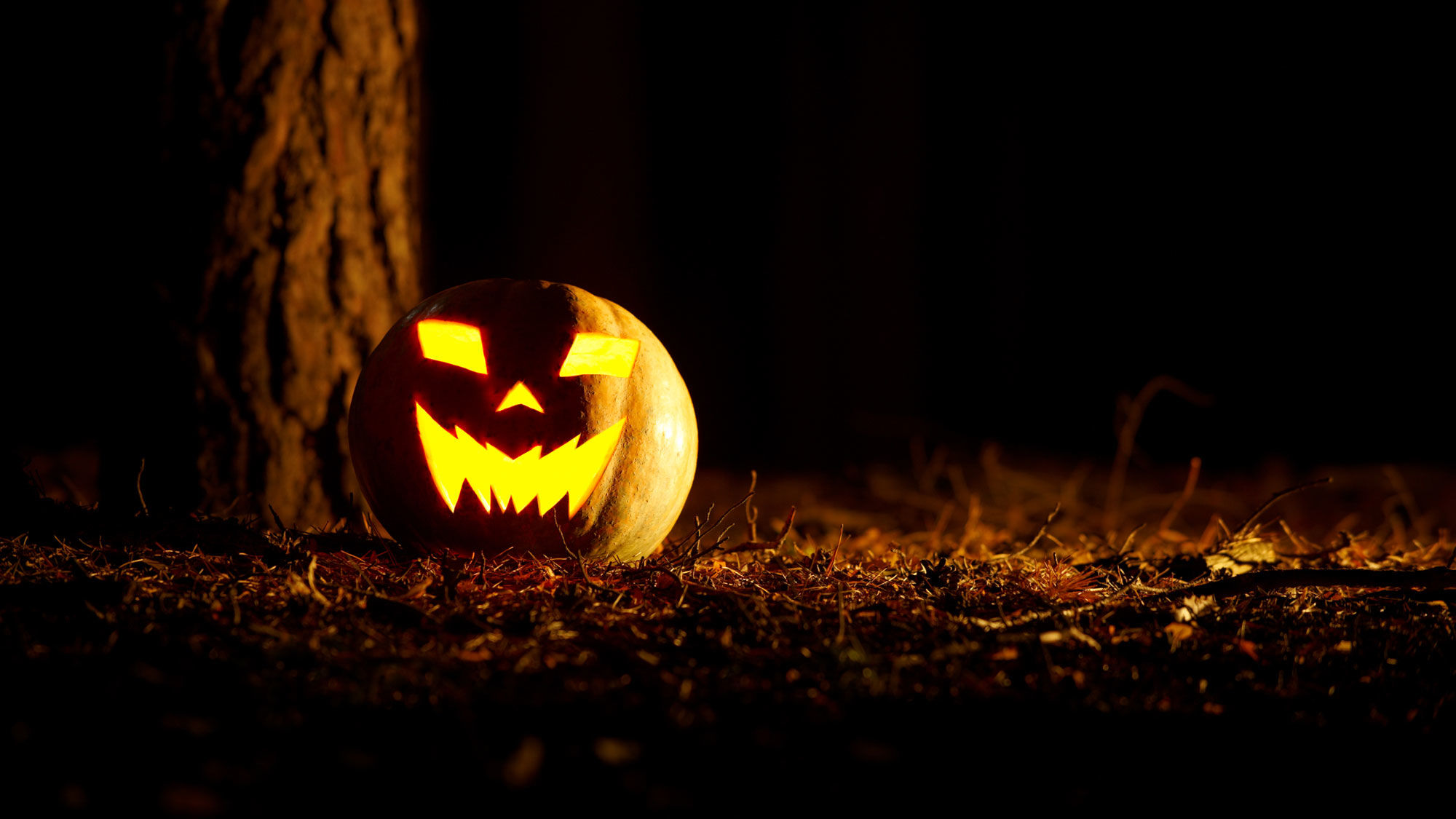 How Jack O’Lanterns Originated in Irish Myth