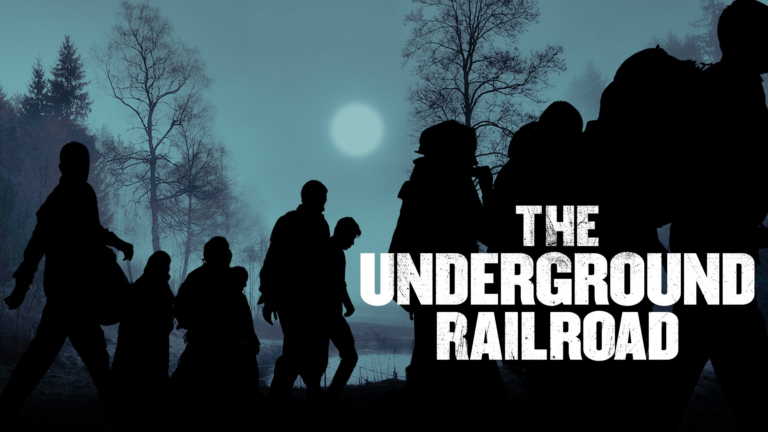 Watch 'The Underground Railroad' on HISTORY Vault!