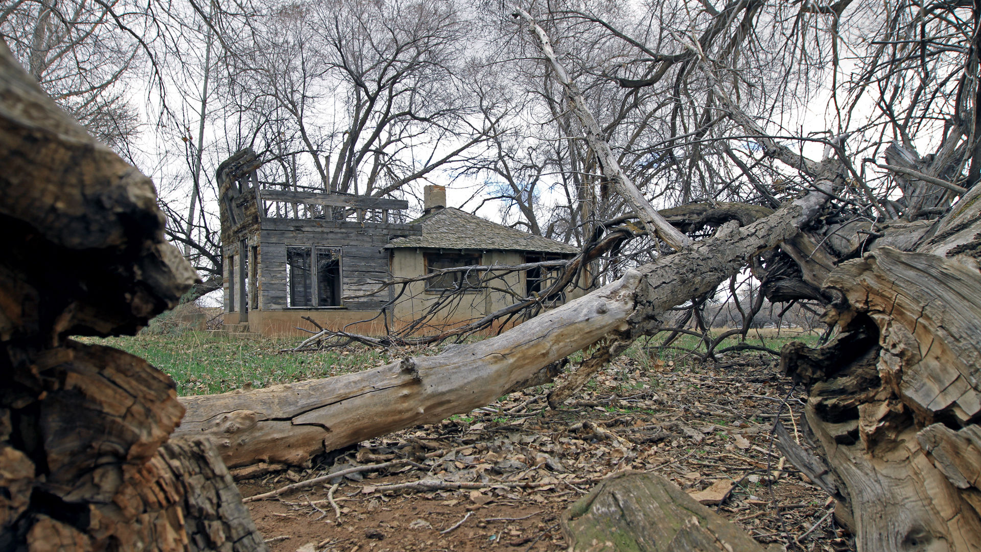 How Skinwalker Ranch Became a Hotbed of Paranormal Activity