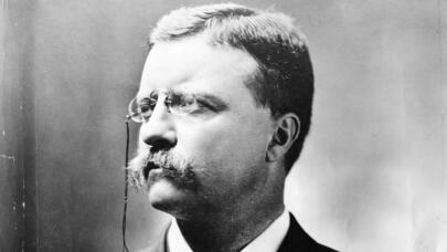 How Teddy Roosevelt Ascended in New York Politics