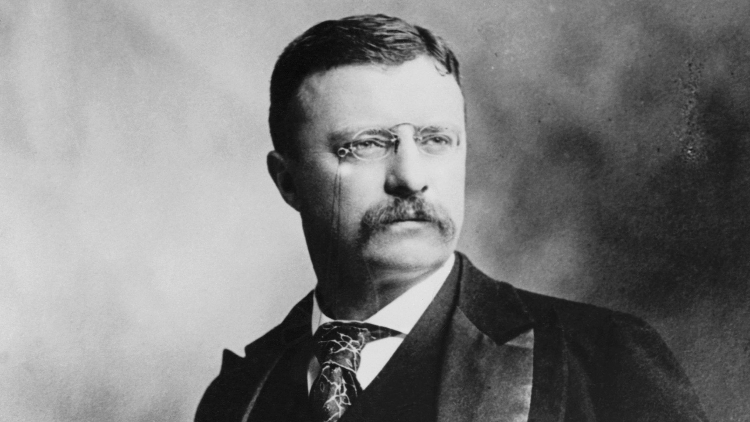 Theodore Roosevelt portrait photo