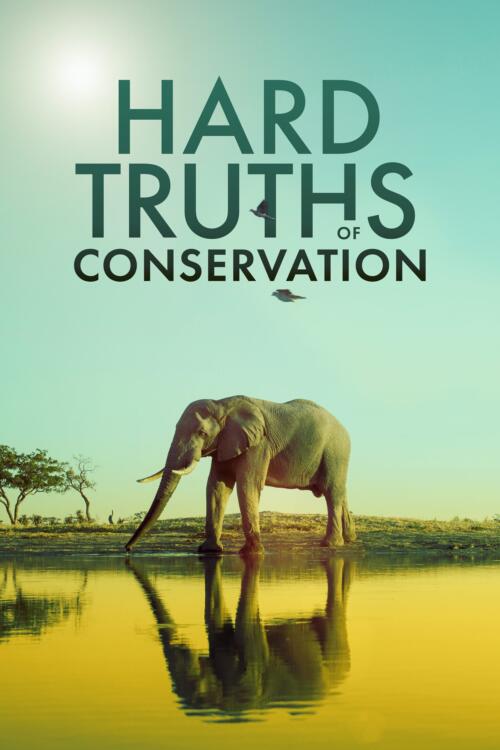 Hard Truths of Conservation