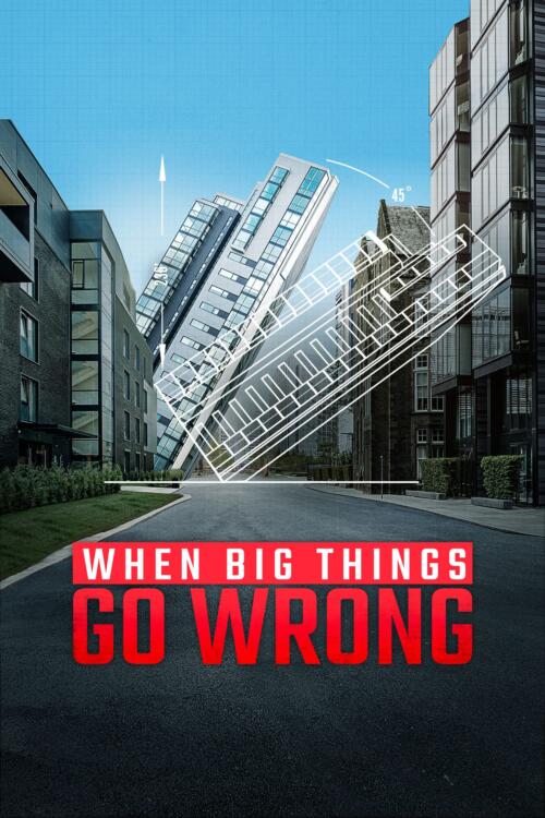 When Big Things Go Wrong