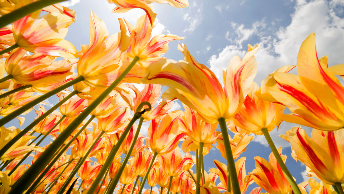 What Is Vernal Equinox?