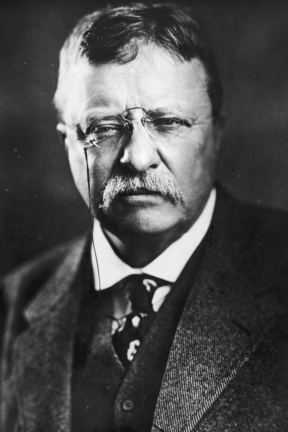 Teddy Roosevelt photo